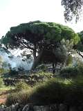 sizilien-mallorca 277